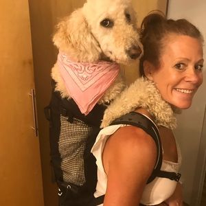 Dog backpack-carrier. XL.